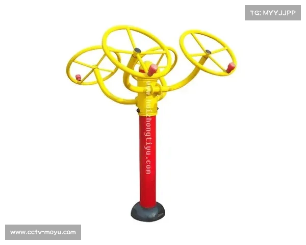 室外健身器材联网管理闭环初建,用户健身体验持续优化。 室外健身器材联网管理闭环初建,用户健身体验持续优化。