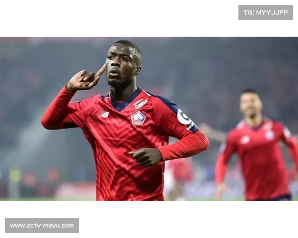 里尔主席勒唐因不当言论面临停赛处罚，或暂别法甲委员会